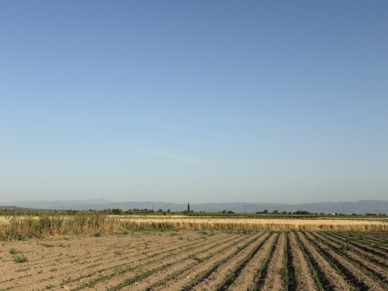 MANİSA SARUHANLI'DA 3.883 M2 SATILIK TARLA (101196502)